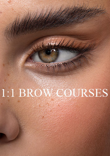 11 Brow Courses 2