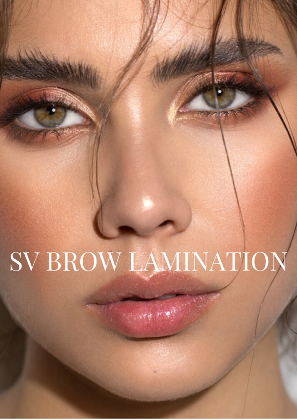 Brow Lamination Course